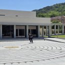 숲거리 Daum카페