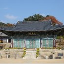 유림-36 이미지