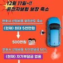 “지금이 마지막&#34;…운전자보험 절판 마케팅 기승...보험 영업 현장 &#39;혼탁&#39; 이미지