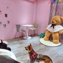 누리까까 이미지