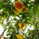 홍천내고향마트 이미지