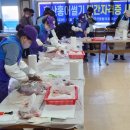 신안홍어 이미지