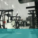 비디피트 이미지