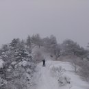 지리산천왕봉야영장 이미지