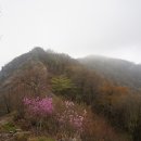 연무동 11-5~연무동 9-6 이미지