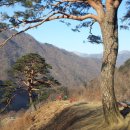 병곡식당 Daum카페