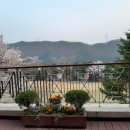 코리아골프빌리지 대우그린카운티 | 코리아골프빌리지 대우그린카운티파인하우스 매매