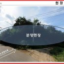 다온토지보상 Daum카페