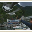 한섬여행사 이미지