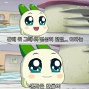 아이와(I.WA) | 미국 시애틀 여행기 ㅣ 저도 이 조합이 신선했는데 바보 3명이어도 여행은 잘 굴러가요~