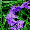 남태령옛길 이미지