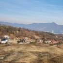 양평농협 강상주유소 이미지