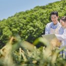 관음포연꽃마을협동조합 이미지