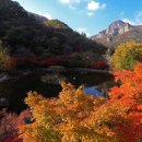 싱그러운청도로(가을) 이미지