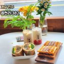 하대동382 이미지