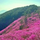 반석천(유성-77) 이미지