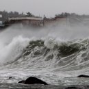 태풍민박 이미지