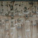 대웅자원 이미지