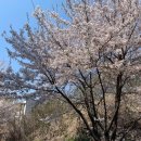 맘자람꿈자람아동발달센터
