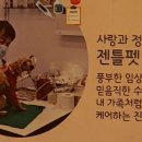 문경새재반려동물힐링센터(젠틀펫파라다이스) 이미지