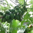 농부네 부부농장