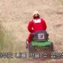 양양양