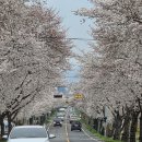 둥지펜션 | 경주 여행 한옥펜션 둥지가족펜션 경주 단체 숙박 가족 숙소