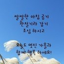 그리다시스 이미지
