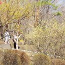 남산근린공원_R 이미지