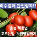 보리수 이미지
