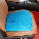 꽃분이네 이미지