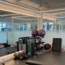 바디짐헬스 이미지