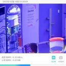 목욕하는 고양이 | 고양이지능 문여는 똑똑한 이윌리와 포인핸드 입양 선물 후기