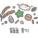 금샘김밥