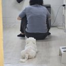 가좌연세정형외과의원 네이버블로그