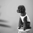 김광석사진관 이미지