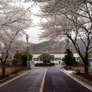 용아천 이미지