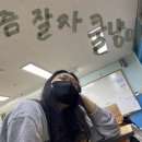 민채진