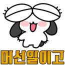 다온자동차 이미지