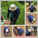 읍 자치센터 | 묘주님의 가슴 아픈 사연 (포천 산소 답사 - 정부 24시 개장신고)