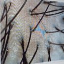 공학1관 | 위례 헤드스파 추천, 아이디헤어 두피 스파로 힐링한 후기