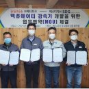 에스디지 (SDG)