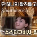 [클래식] The second waltz (쇼스타코비치) 이미지