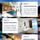 데일리풀 이미지