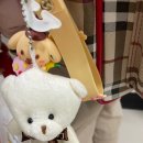 뽑기연구소 이미지