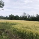 산양보건진료소 이미지