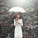 스튜디오로이
