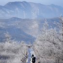 하얀천국 이미지