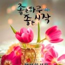 일심 이미지
