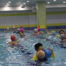 닥터마린키즈수영장 이미지